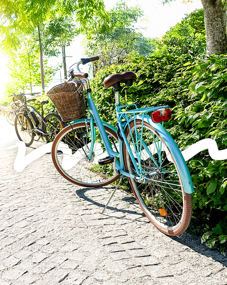 Roadster/Dutch bikes